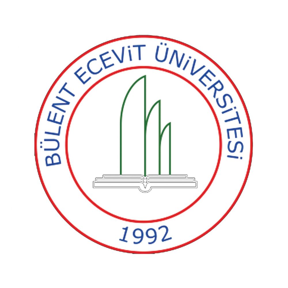 جامعة بولنت أجاويد